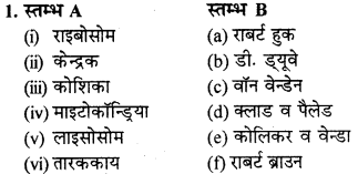 RBSE Solutions for Class 9 Science Chapter 6 सजीव की संरचना 23