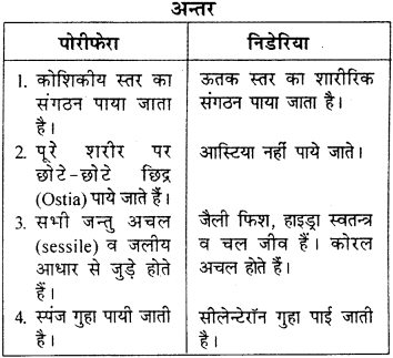 RBSE Solutions for Class 9 Science Chapter 7 जैव विविधता 3